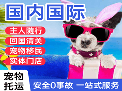 张孝国际宠物托运 【国